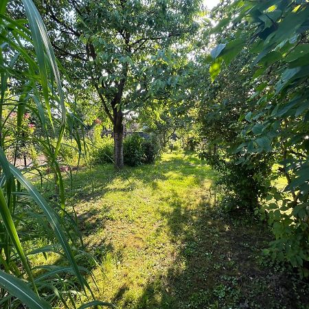 ヴァドヴィツェ Apartament Wojska Polskiego 35ヴィラ エクステリア 写真