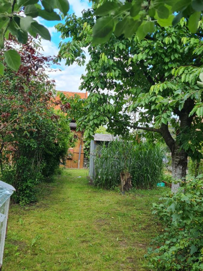 ヴァドヴィツェ Apartament Wojska Polskiego 35ヴィラ エクステリア 写真